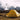 Lightweight Tents