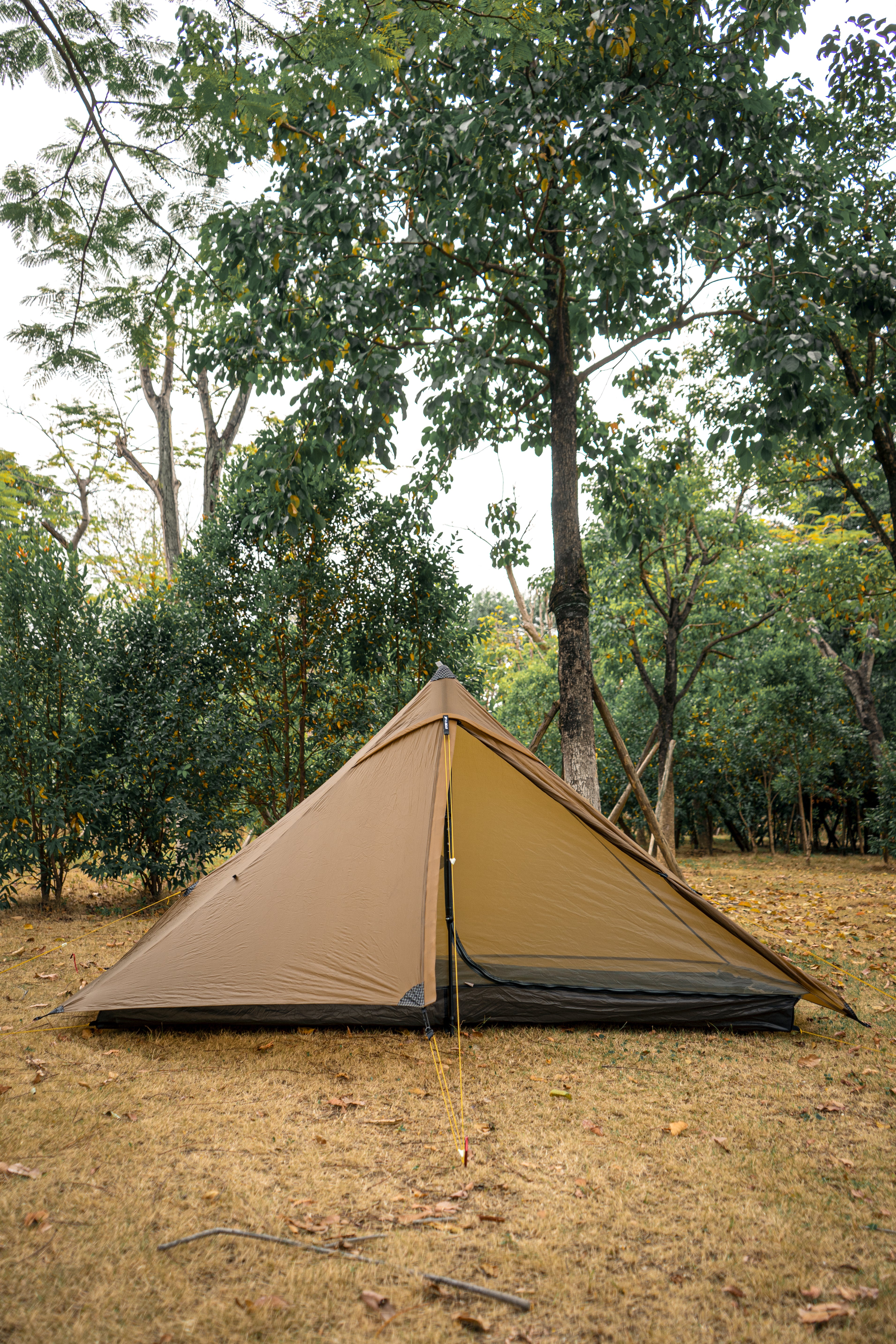 lanshan 1 pro tent Lanshan 1 Pro – Carbon Hill
