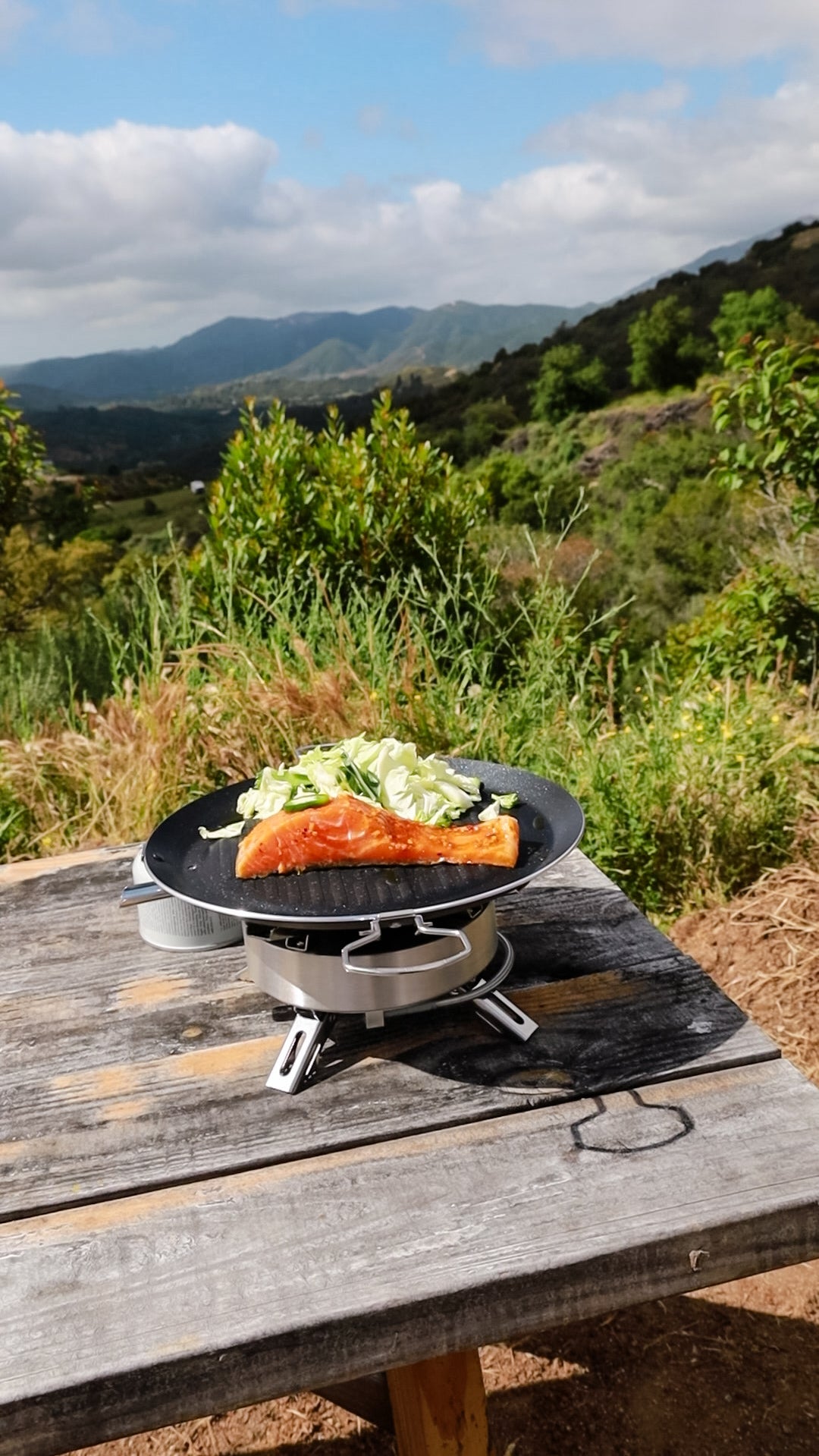Saturn Gas Stove